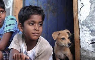 Kaaka Muttai Crow's Egg Movie Review PipingHotViews